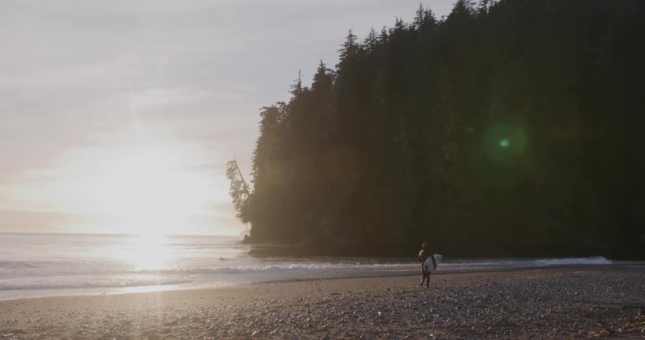 Surfer walking along the seashore with a coniferous forest in the background