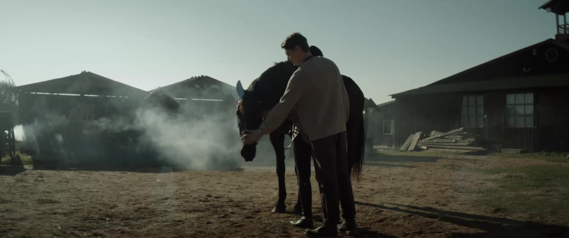 Man interacting with a brown horse