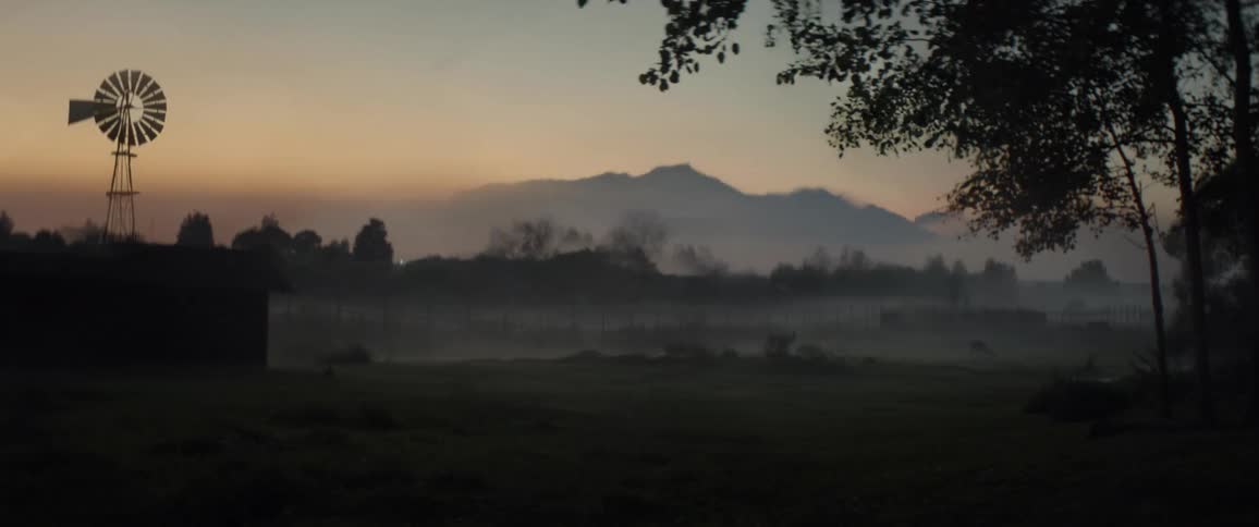 A footage of a misty nature forest
