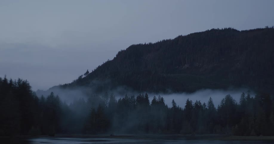 A thick bank of mist slowly drifts across a dark forested mountainside bordering a calm lake under an overcast sky at dawn or dusk