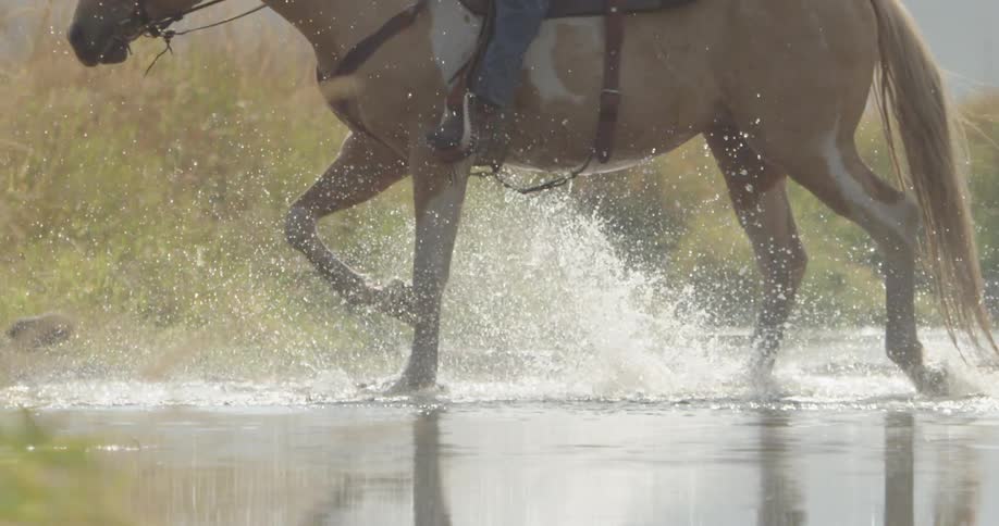 A horse crosses a stream and splashes water