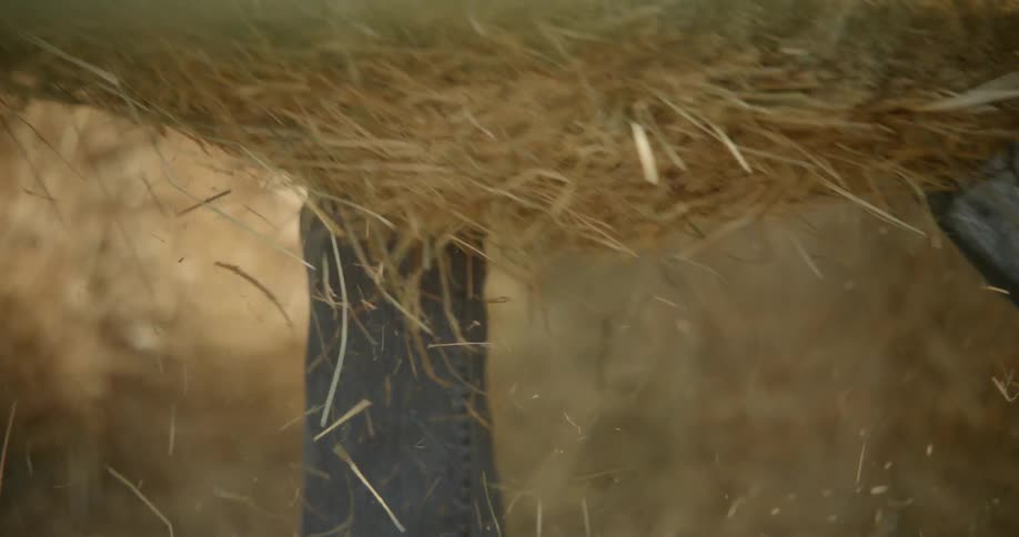 A man lifts and stacks a bale of hay