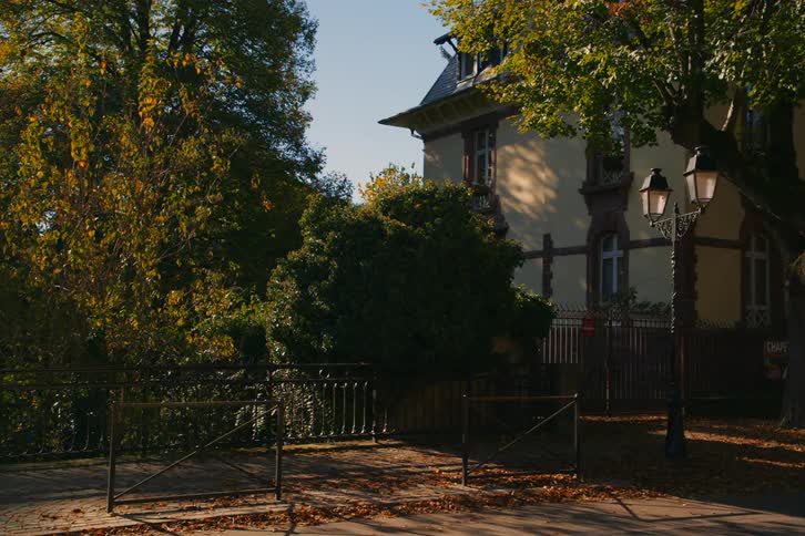 A building surrounded by trees stands in an urban setting at midday
