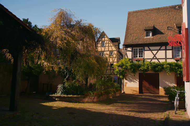 A bicycle is leaning against the home