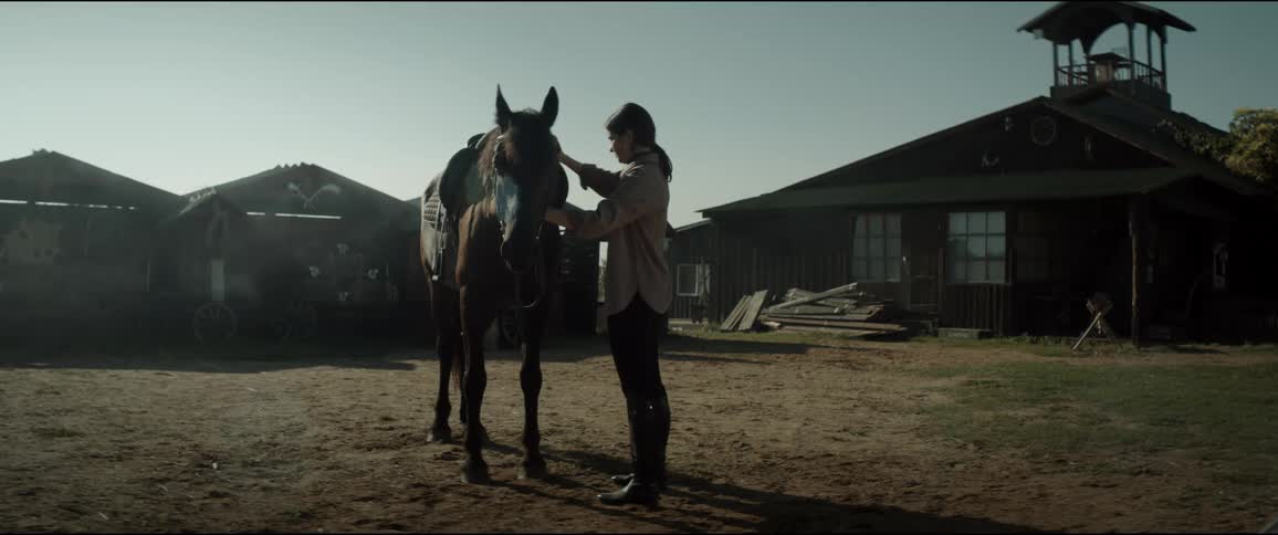 A woman on a farm brushing her horse