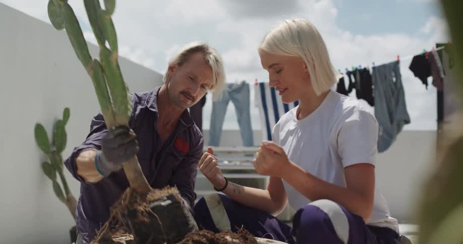 A man and woman are planting a cactus
