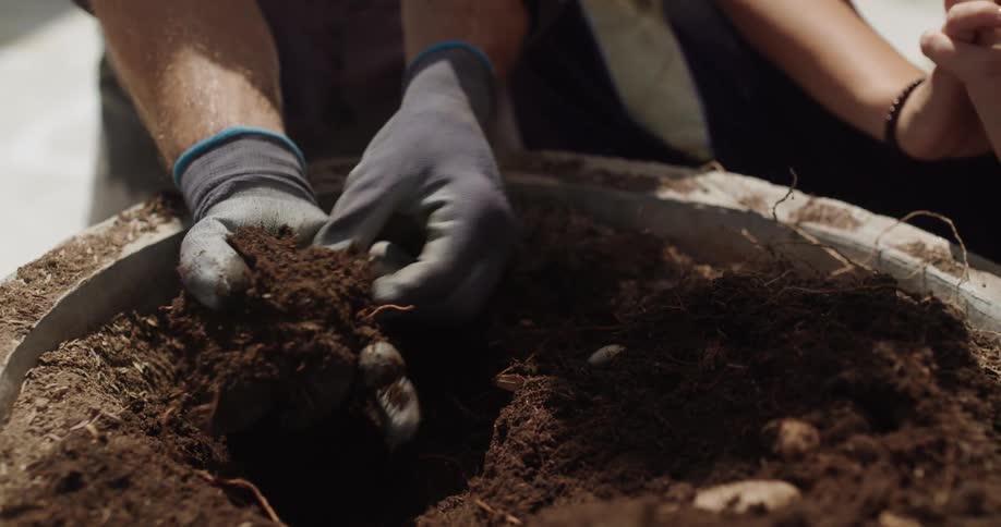Gloved hand handles fertile soil inside a container