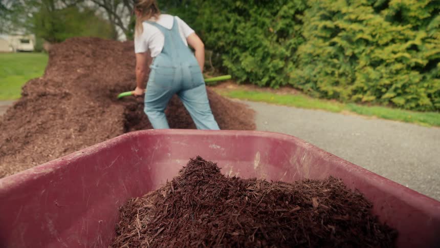 Point of view woman scooping compost from large mound and placing into wheelbarrow