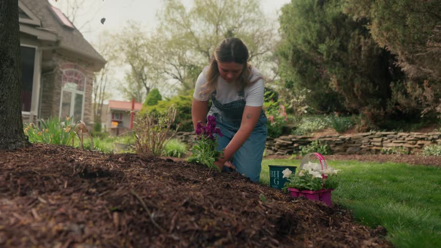 A woman planting a plant next to a tree with other flowers around
