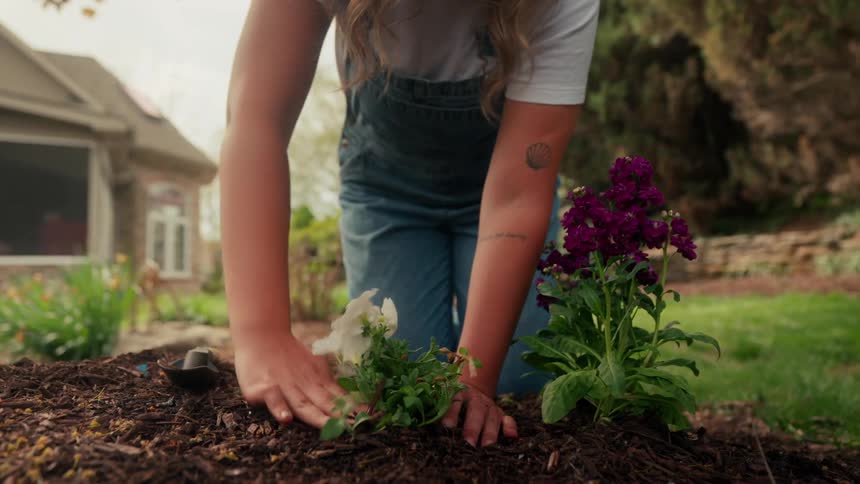 A woman is gardening in a yard planting flowers in a flower bed on a sunny day