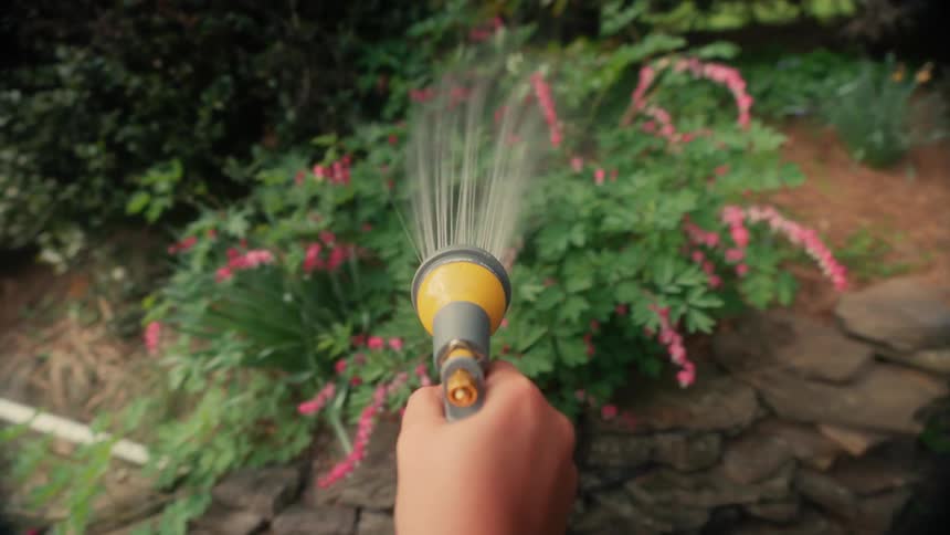 A close up clip of a person flowing a plant