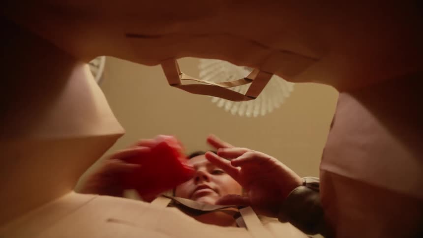 POV from inside a paper bag of a woman reaching in and taking grocery produce out