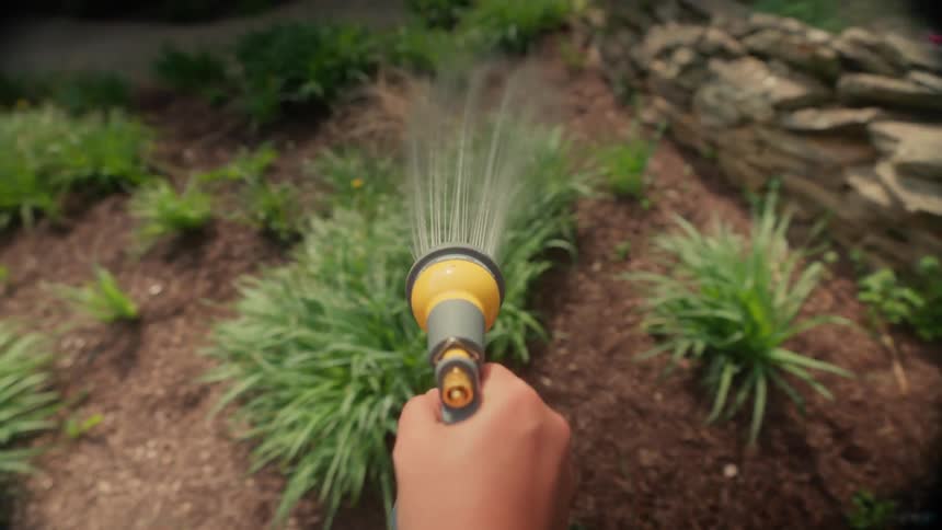Hand with a hose watering plants in a backyard