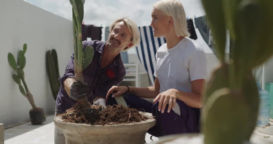 Couple on a balcony planting a cactus together