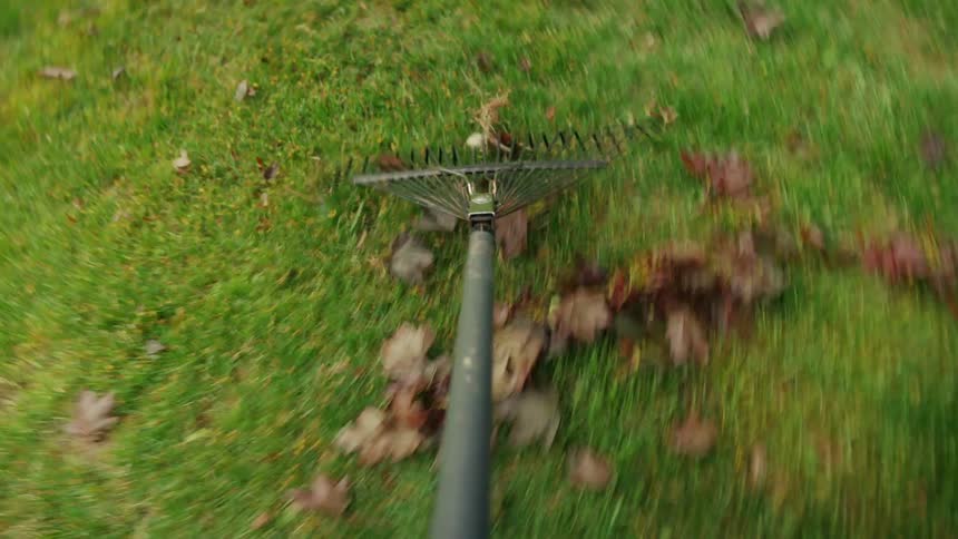 Pov of person raking leafs