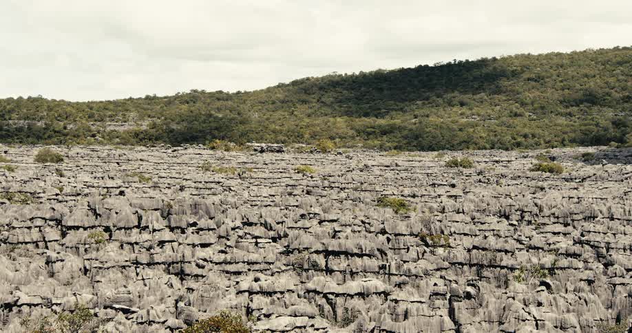 A landscape shot shows a large area of jagged grey rock formations with a green forested hill in the background under a cloudy sky