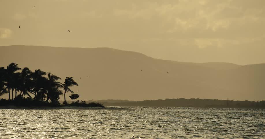 A serene golden hued landscape shows a tropical island with palm trees on the shoreline gentle waves on the water layered hills in the distance and birds flying in the sky