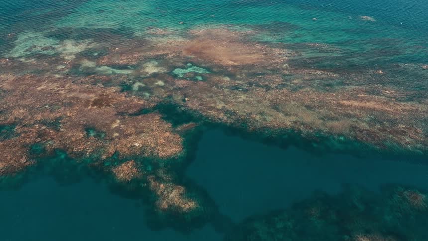 An aerial view of a large coral in the middle of a sea with crystal clear water
