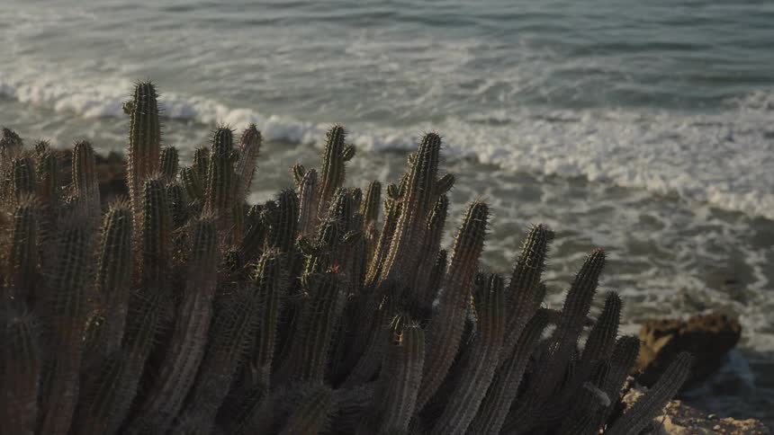 Ocean waves move towards the deserted coast
