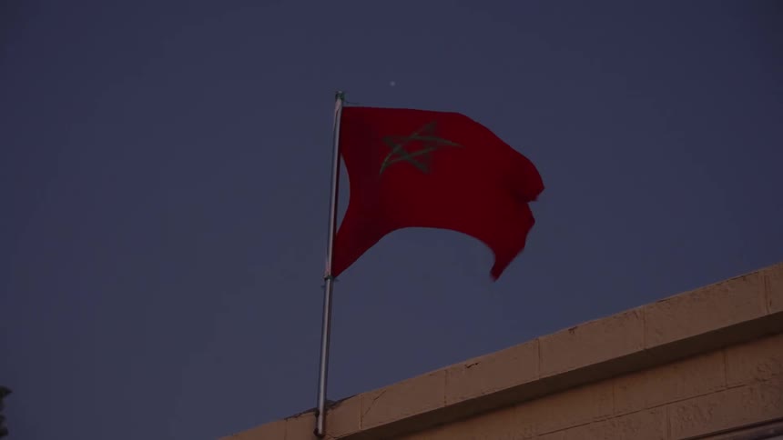 A moroccan flag waving in the wind with birds flying in the sky
