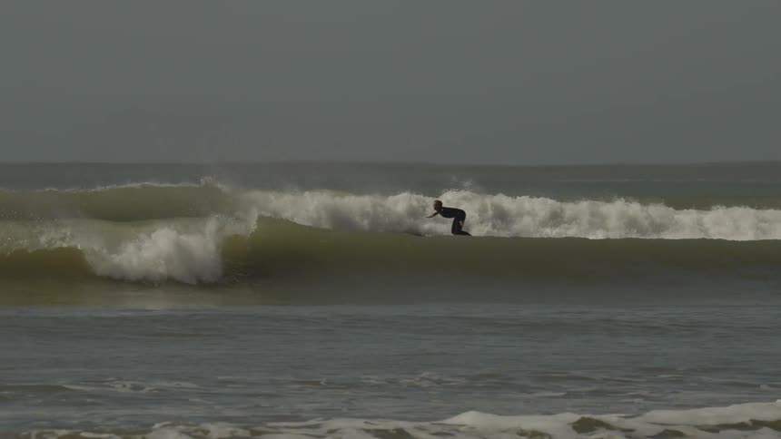 A group of surfers surf sea waves as they approach the shore