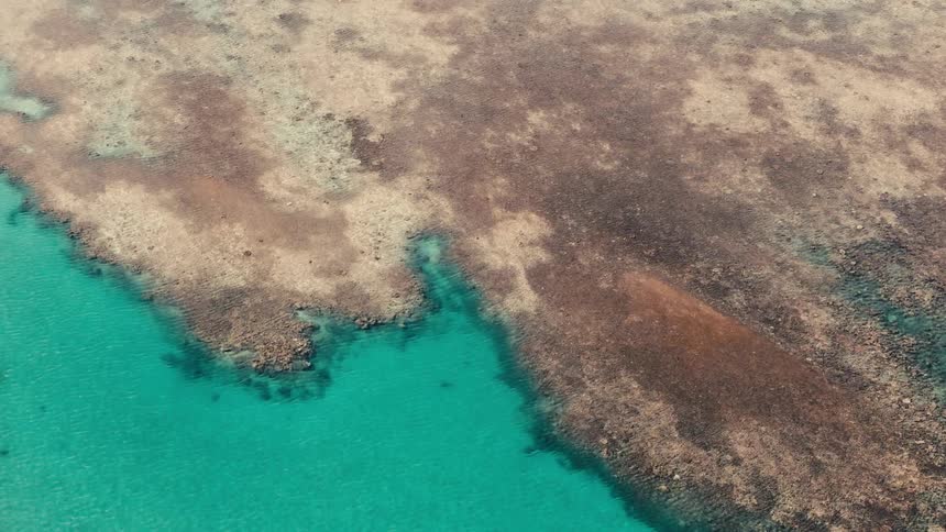 A beach with corals along the edges and rocks on the ground