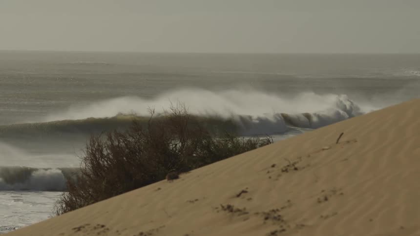 A large ocean wave crashes near a sandy dune with sparse vegetation under warm sunlight