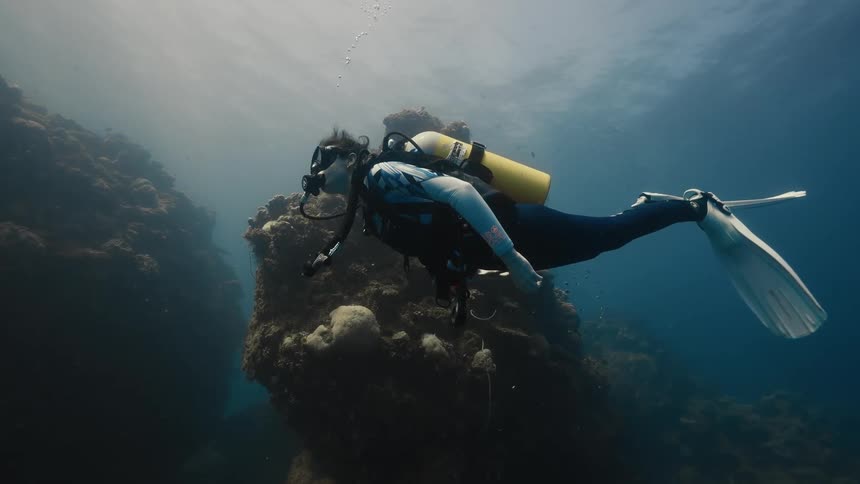 A diver observing corals underwater
