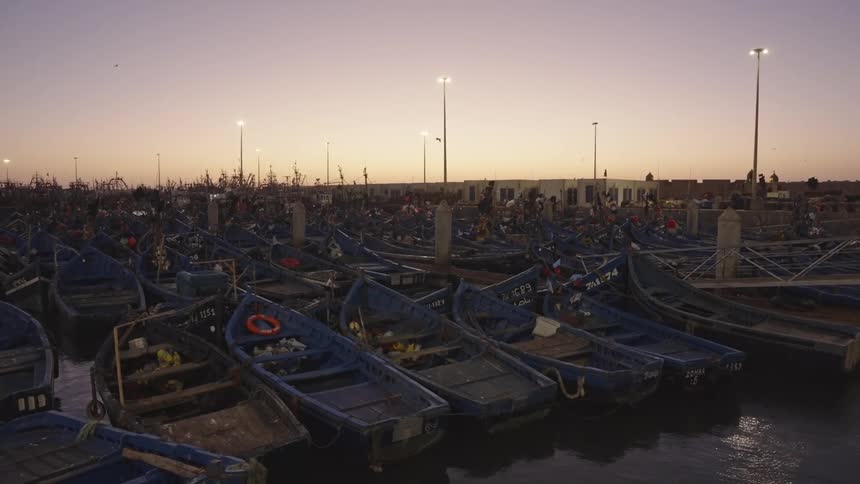 Many boats docked at a pier with birds flying overhead in the sky