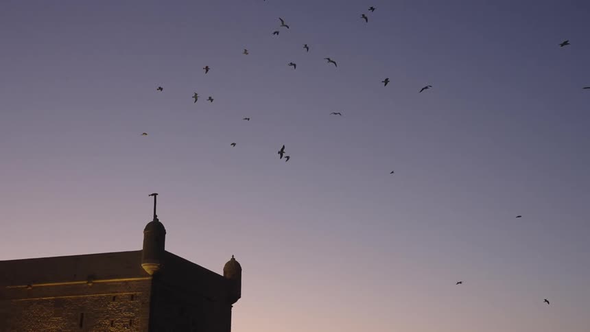Black birds flying in a violet sky