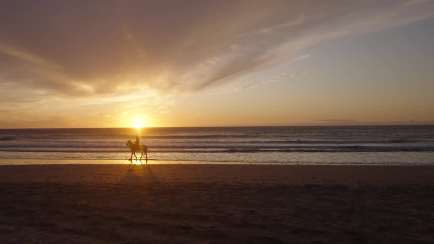 Person riding a horse on the beach is silhouetted by the sun shining from the horizon