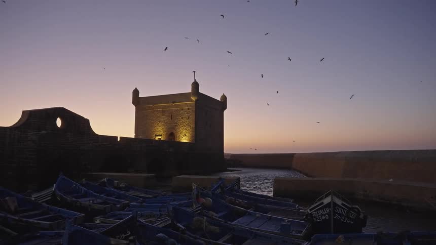 Birds swimming and flowing over the building