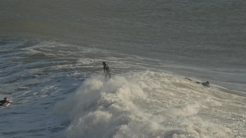 People in a winter sea surfing