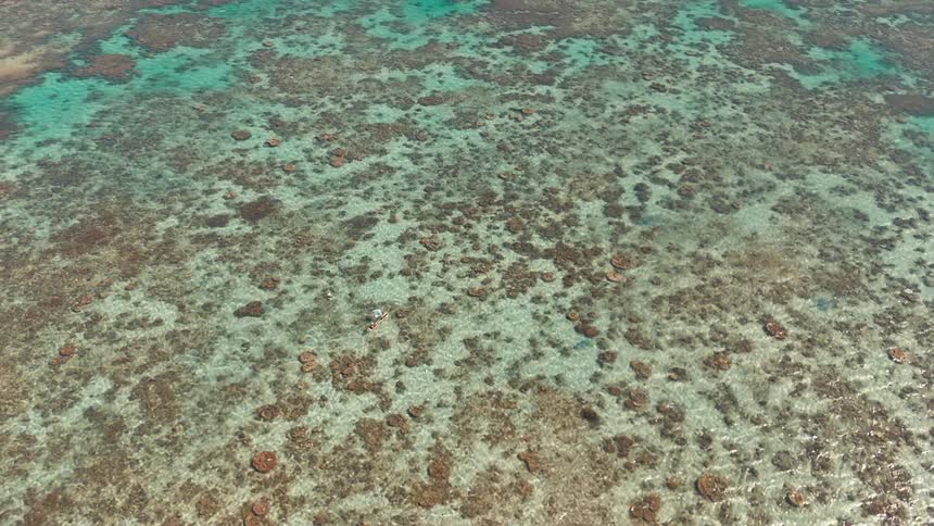 An aerial view captures a vast shallow reef with turquoise waters and scattered coral formations beneath the surface