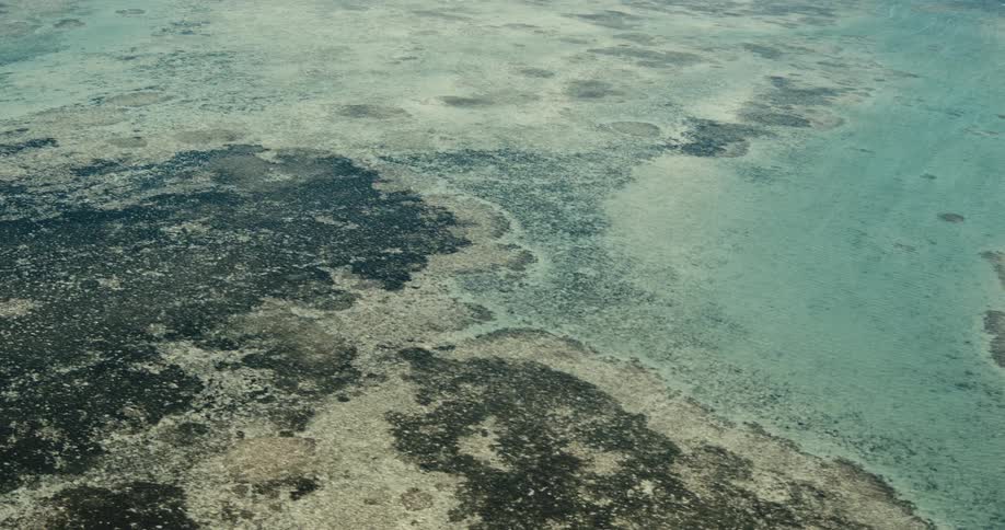 Aerial view of a shallow coastal reef with distinct dark coral patches and clear turquoise water