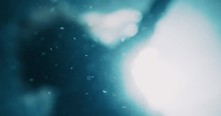 A footage of a person inside water