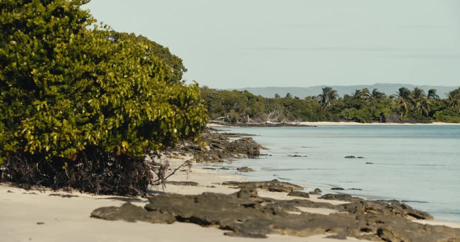 Landscape of a tropical beach