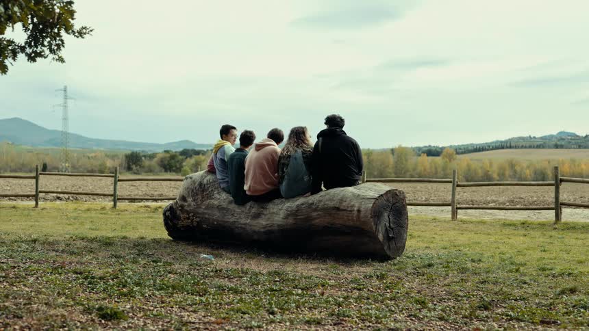 Group of friends sitting on a large log on a ranch in the country