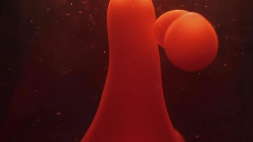 A liquid with bubbles of stuff in it moving around