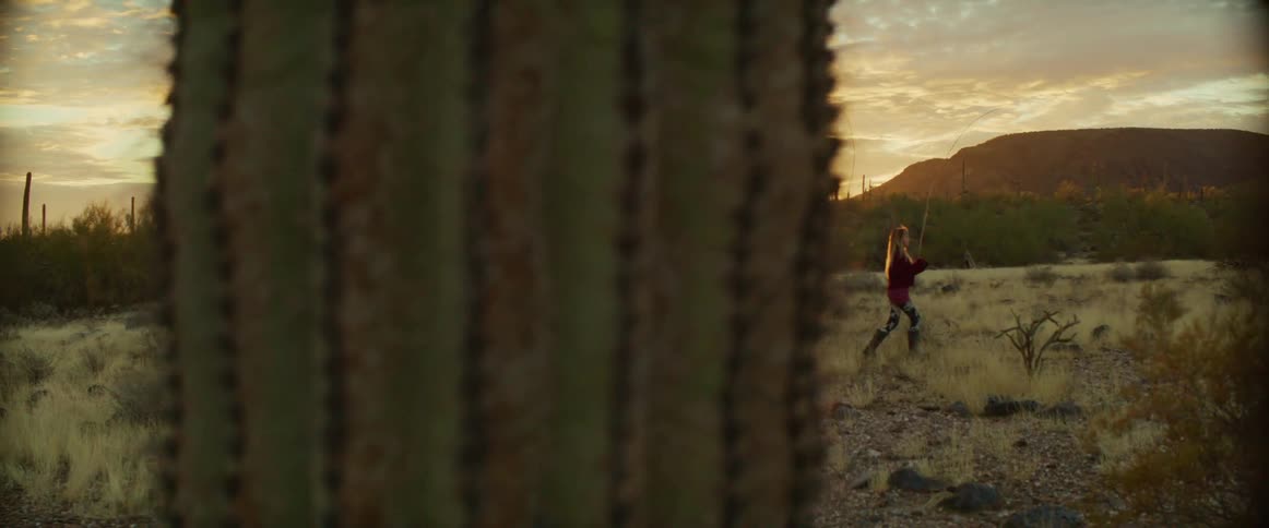 Three children walk through a desert at sunset surrounded by cacti and golden light
