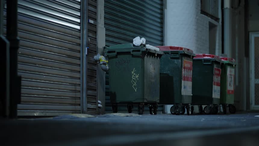 Garbage bins are against the building in the alley