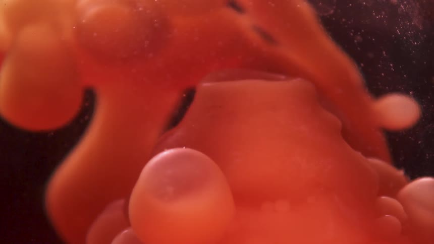 A lava lamp has red liquid inside