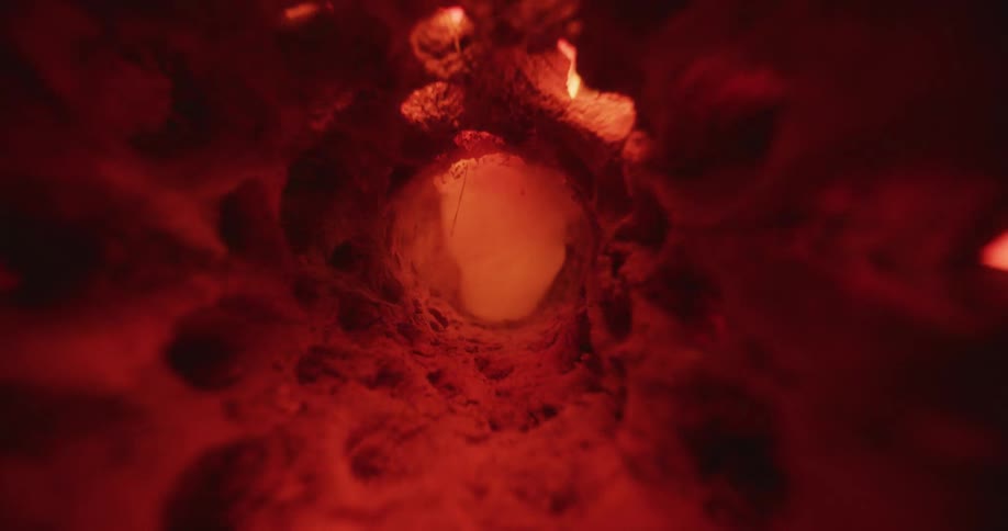 Smoke drifts toward the camera through a glowing red tunnellike organic structure