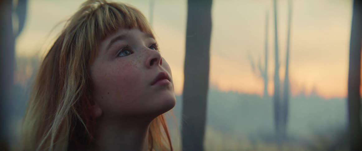The profile of a blonde girl with long hair looking around in a desert filled with towering cacti surrounded by thick mist and illuminated by the soft diffused light of either sunrise or sunset