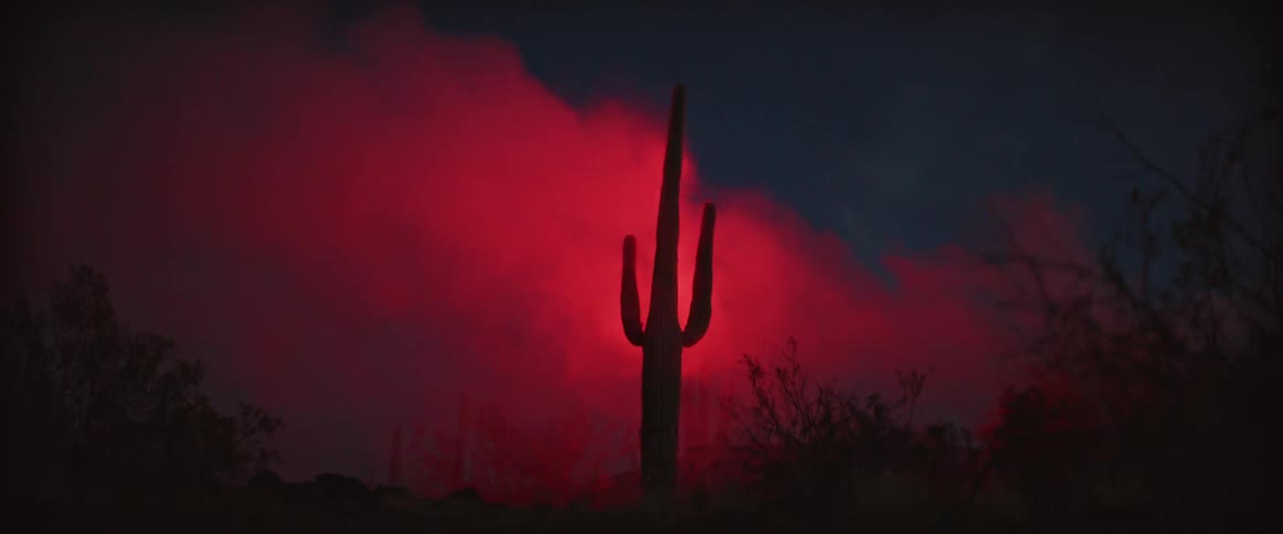 A silhouetted saguaro cactus stands against a dark sky partially obscured by a dramatic wash of red light and smoke