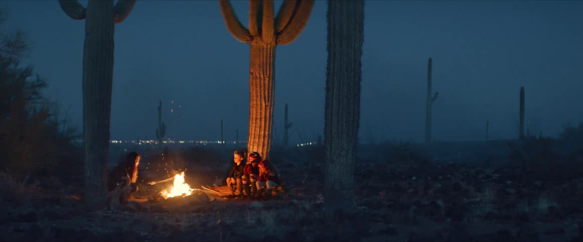 Friends sit around the campfire by a cactus