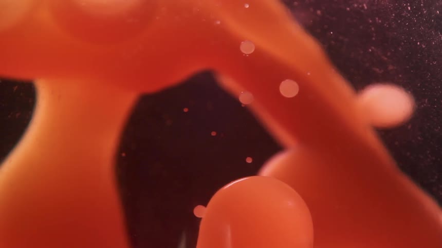 Orange blobs of liquid float upwards