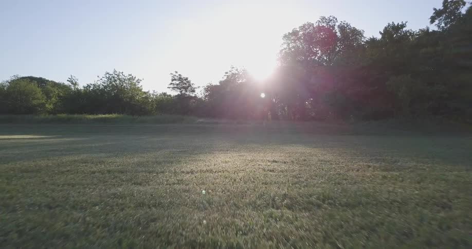 The sun shines on a green field with trees