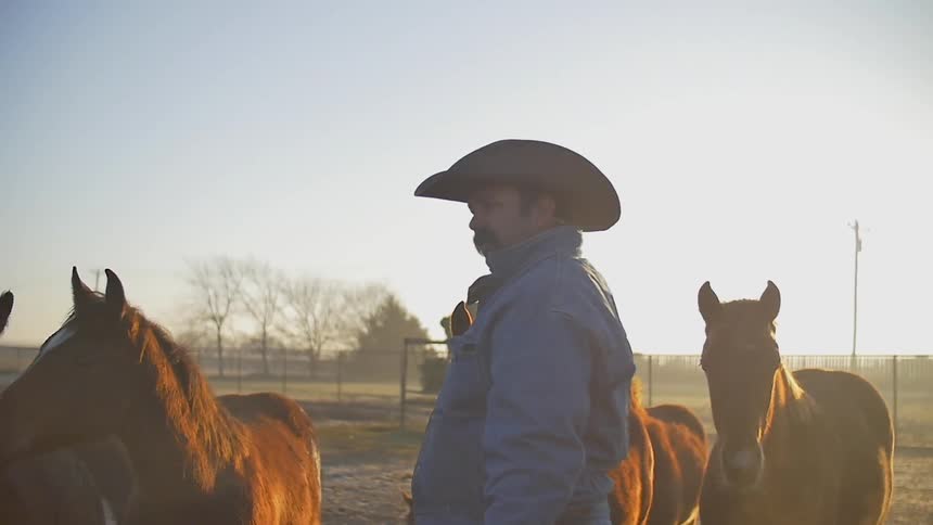 A man wearing a cowboy hat stands next to horses
