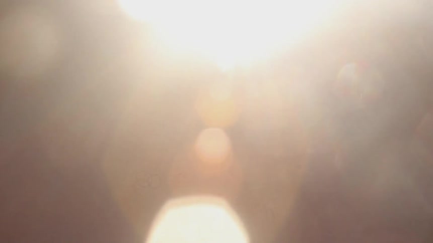 Sunlight shines from above